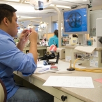 dental-anatomy-ckv_-2008-003