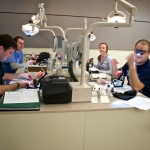 dental-anatomy-ckv_-2008-022