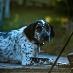 fishing-2010-ckv_-075