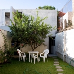 Backyard with roses and lime tree