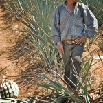 guadalajara-tequila-ckv_-069