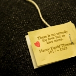 love-thoreau-ckv_-2009-001