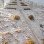 playa-del_-carmen-2009-ckv_-084