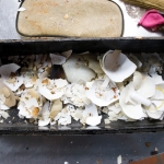 vietnam2008-ckv_-491