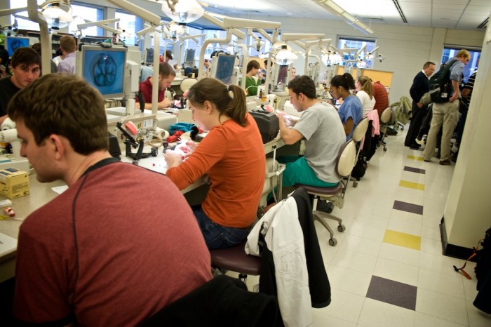 Dental School